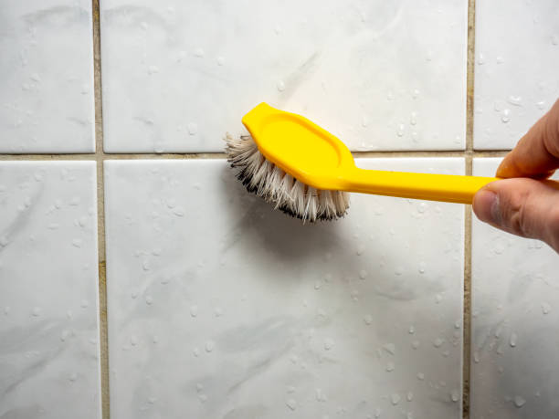 Best Mold Remediation  in Falfurrias, TX