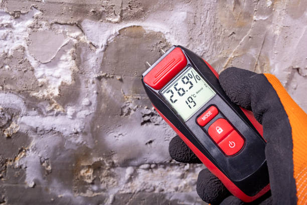 Falfurrias, TX Mold Removal Company
