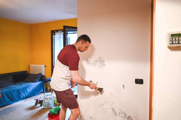 Best Residential Mold Removal  in Falfurrias, TX